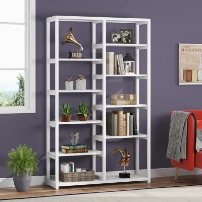 Contemporary Minimalist bookcase