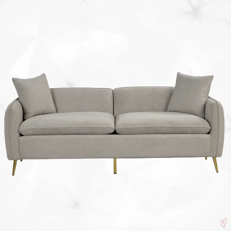 gray Stylish 2 seater sofa