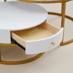 Modern Round Nesting Coffee Table